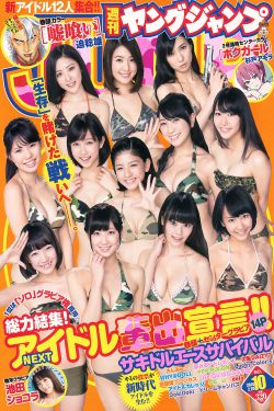 还珠格格 电视剧